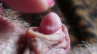 Intense Close Up Of My Pulsating Massive Clitoris Head