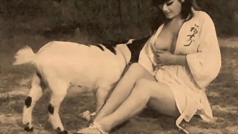 Taboo Clasic: Porno Vintage Cu Elemente Tabu